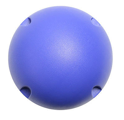 MVP Balance System, Blue Ball - Level 4 - ONLY